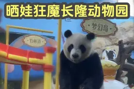晒娃狂魔长隆动物园，对大熊猫的喜爱都溢出屏幕了视频封面