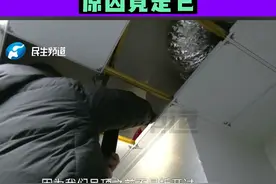 河南郑州，居民家中频频出现怪声，多方检查后发现，原因竟是它#居民家中出现怪声 #河南dou知道视频封面