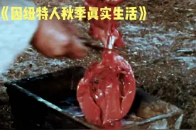 一口气带你看完因纽特人秋季真实生活，绝对是荒野求生中的天花板视频封面