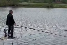 4月18日，湖北宜昌，鱼竿被鱼拖进水中，鱼塘老板的狗狗立马下水捞竿 来源：@翘嘴杀手 #万万没想到 #萌宠成精了 #狗狗视频封面