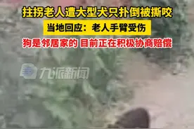 6月21日，山东菏泽，#拄拐老人遭邻居家大型犬只撕咬  ，当地回应：老人手臂受伤，目前正在积极协商赔偿。视频封面