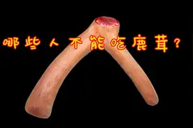 那些人不能吃鹿茸？#鹿茸原产地  #鹿茸片  #鹿茸酒视频封面