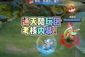 震惊！八国服大佬竟是我老板！曝光王者通天陪玩团考核真相……视频封面