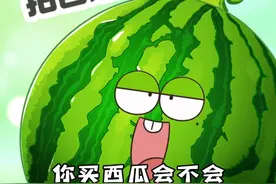 职业验瓜师，你就是我吃瓜路上的守护人！ #冷知识 #轻漫计划 #抖音美好食光 #吃西瓜我们是认真的