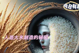 你知道人造大米是如何加工制造的吗？#人造大米 #科普小知识视频封面