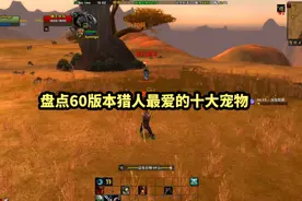 盘点60版本中猎人最爱的十大宠物，老铁们喜欢用什么作为宠物呢视频封面