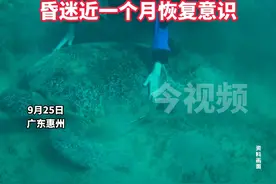 女子嫌潜水不过瘾，自己腰绑铅块沉海底，昏迷近一个月恢复意识！#潜水 #海底 #意识视频封面