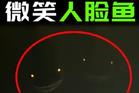 水面下的笑脸，是传说中的人脸鱼？ #人面鱼 #奇闻奇事 #未知生物