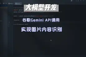 谷歌Gemini API调用实现图片内容识别 AI大模型开发系列