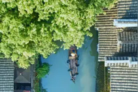 #生态文明示范建设 生态文明建设示范区——上海市金山区视频封面