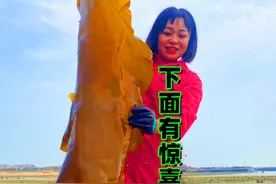 小章赶海偶遇鱼群！捡到一条巨型海带，拿起一看下面还有大惊喜！视频封面