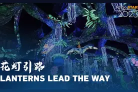 #四川 #自贡承办了中国百分之八十以上的#灯会