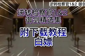 今日更新的游戏教程是：逆转检察官1&2 御剑精选集视频封面