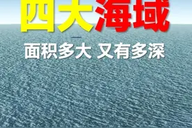 我国的四大海域都有多大？又有多深？ #南海 #东海 #黄海 #渤海视频封面
