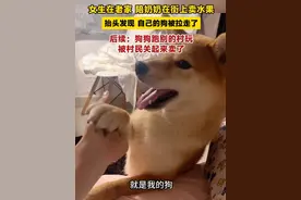女生在老家 陪奶奶在街上卖水果，抬头发现 自己的狗被拉走了，后续：狗狗跑别的村玩，被村民关起来卖了。#狗狗视频封面