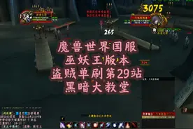 盗贼单刷黑暗大教堂 也许我不是第一个发现的视频封面