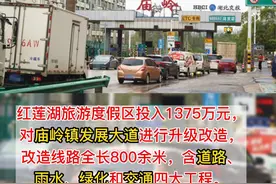 投资1375万！鄂州！庙岭：升级主干道 擦亮小城镇#鄂州 #交通安全 #擦亮小城镇 #老百姓的心声视频封面