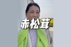 赤松茸这个项目曾经赚钱，也因为销售渠道踩了坑，今年准备继续 #赤松茸 #种植 #新农人2024 @抖音短视频 @DOU+小助手视频封面