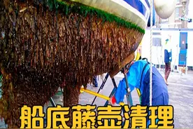 大船底部被藤壶全部吸附，高压水枪一冲一大片，过程真是解压视频封面