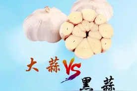 比大蒜贵了近10倍！“黑蒜”和普通的大蒜到底有什么区别？#蒜 #营养健康 #科普 #科学高光故事集 #真相视频封面