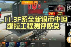 【毛毛WOTB】11.3F系全新银币中坦：缪拉工程测评感受视频封面