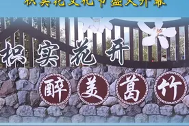 3月20日上午，漳州南靖南坑镇枳实花文化节盛大开幕#漳州视频封面