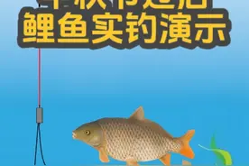 中秋过后鲤鱼怎么钓？小黑从打窝开始教你，3个步骤拿下河冠视频封面
