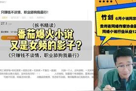 番茄百万人气在读小说，又是女频的影子？