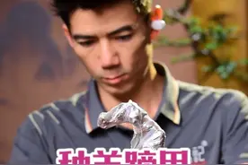 羊蹄甲生桩种植 羊蹄甲是非常好活的品种#羊蹄甲 #羊蹄甲盆景#下山桩#盆景造型 #盆景种植技巧