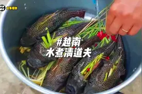 你绝对没见过的美食，越南水煮清道夫，广东人看到都说佩服视频封面