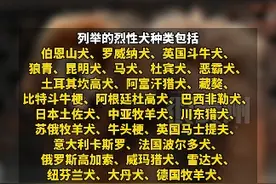 文明养犬！贵州禁止饲养这些烈性犬，包括罗威纳犬视频封面