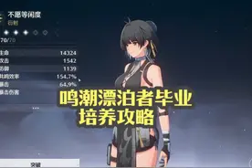 鸣潮主角漂泊者毕业培养攻略 #鸣潮奏鸣测试 #鸣潮漂泊者 #鸣潮