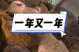 努力了一年又一年，还是没存到💰 #看一遍笑一遍 #治愈系 #神奇动物在抖音