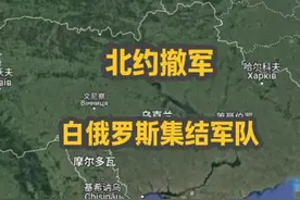北约撤军，白鹅开始集结 #国际形势 #俄乌冲突视频封面