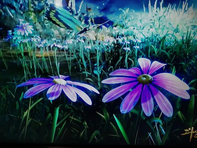 我的世界实用动作优化模组推荐