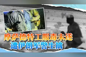 摩萨德特工被伊朗盯上，被捕前想服毒自杀，被一把扑倒在地