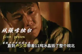 扫毒风暴林强峰独白：卢少华带着11吨冰毁了整个皖北