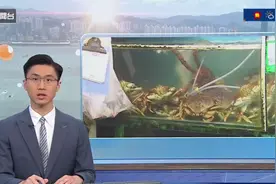 中大研究市面上最常食用6种蟹嘅致敏原发现生同熟敏反应都有唔同视频封面