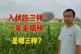 明日入伏，俗语“入伏吃三样，一年无病殃”，是哪三样？