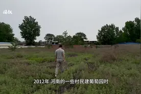 访汝州魏王赵廷美墓，多个石像被挖出，太宗造北宋第一冤案？#视频封面