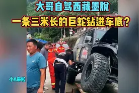 大哥自驾西藏墨脱，一条三米长的巨蛇钻进车底？一起来看看吧