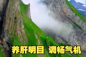 五音疗愈｜肝郁必听！一曲疏肝解郁，焦虑烦躁瞬间消散