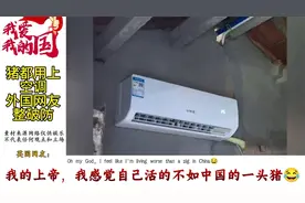 中国猪舍装空调引发外网讨论