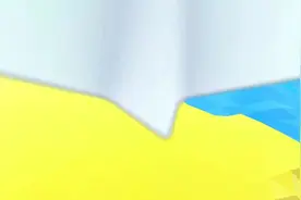 为什么棉花和海绵能把水往上吸？