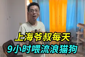 上海爷叔因心里愧疚，每天花9小时全上海跑，喂流浪猫狗并救助