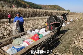 青岛救人玉米大姐，她成热榜了，被多家媒体采访。