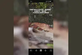 云南惊现神秘方花蛇，颜值爆表！视频封面