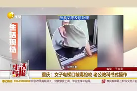 重庆：女子电梯口被毒蛇咬 老公教科书式操作视频封面