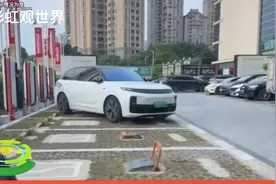 理想车主乱停车现象引发广泛热议