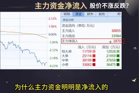 为什么主力资金净流入，股价不涨反跌？资金流动的精髓 #股票视频封面